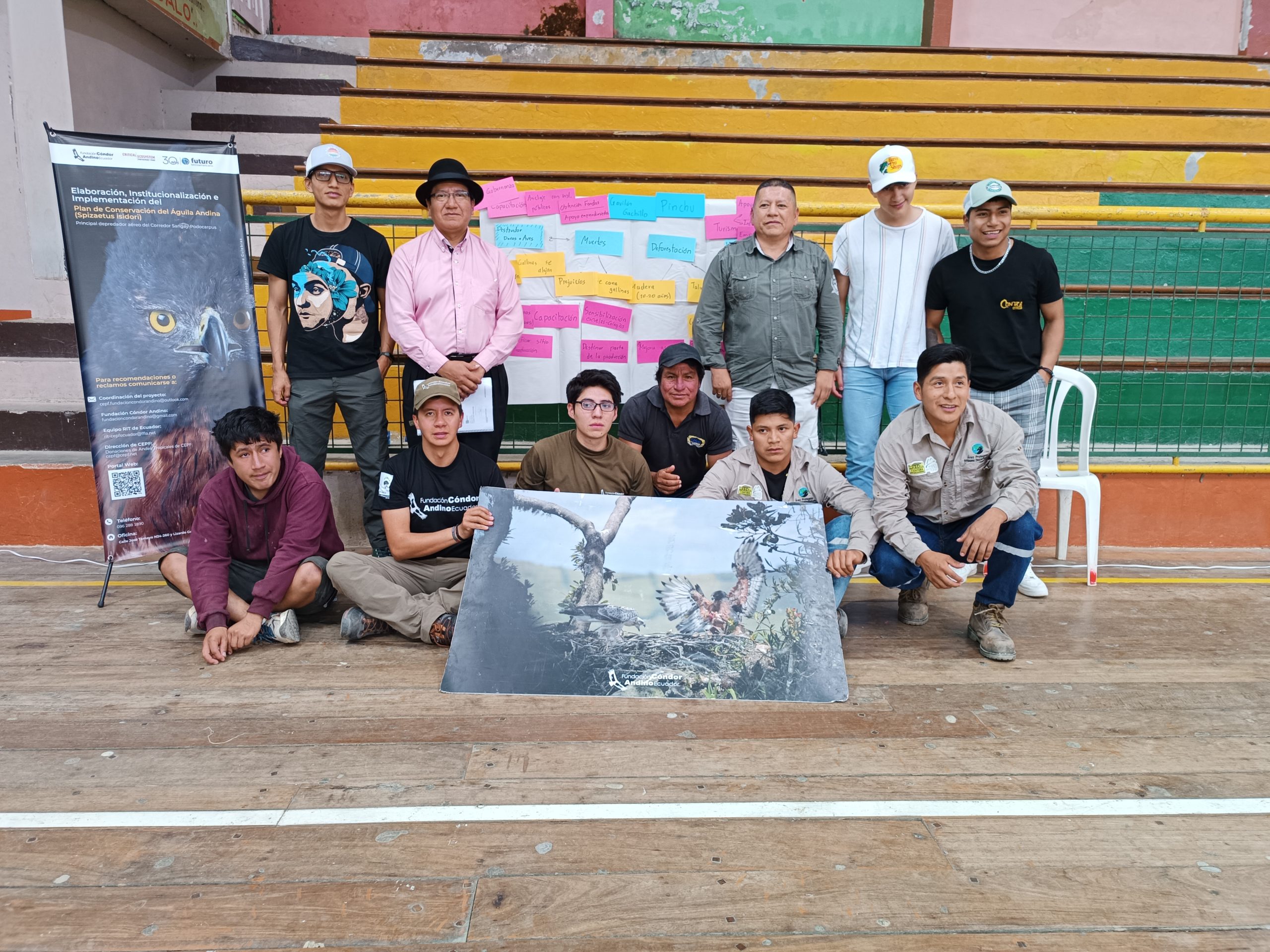 Águila andina en vuelo