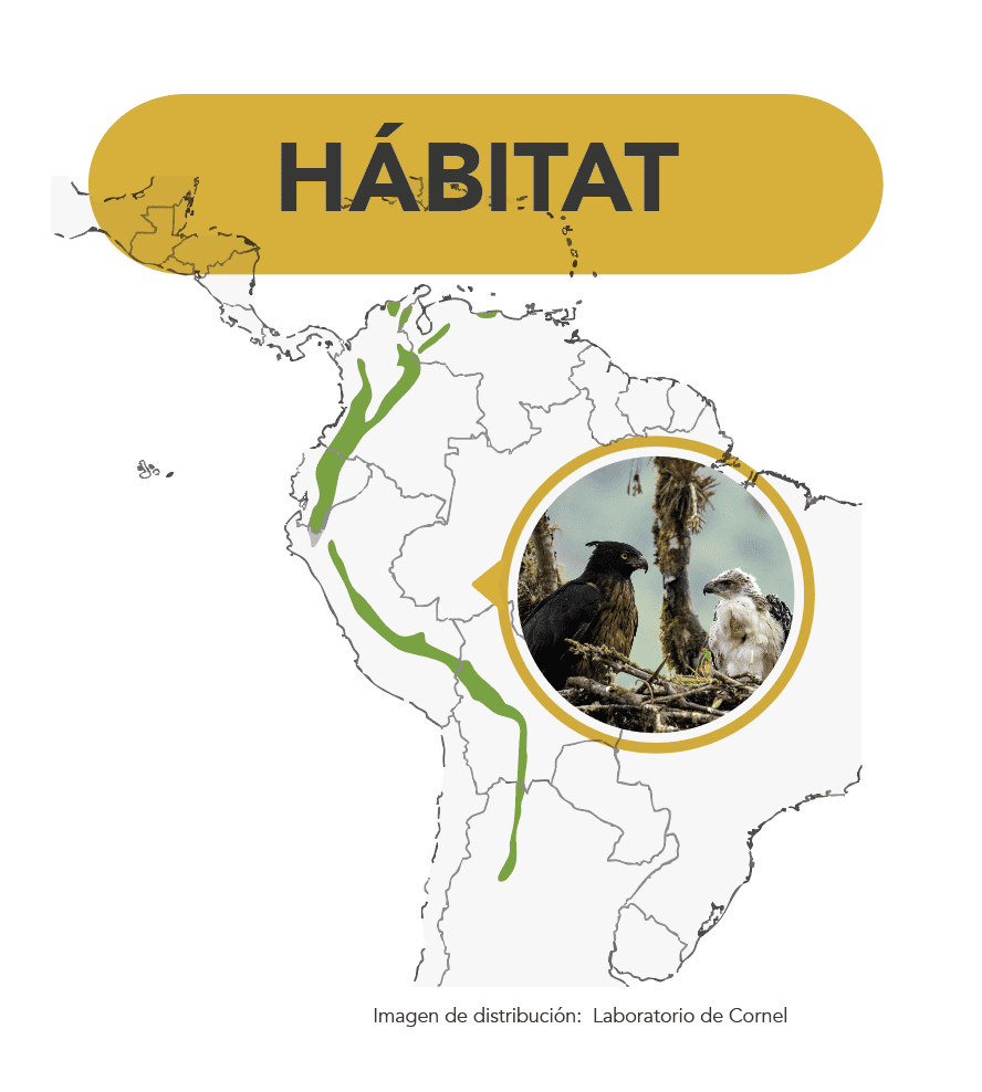 Mapa de distribución del águila andina