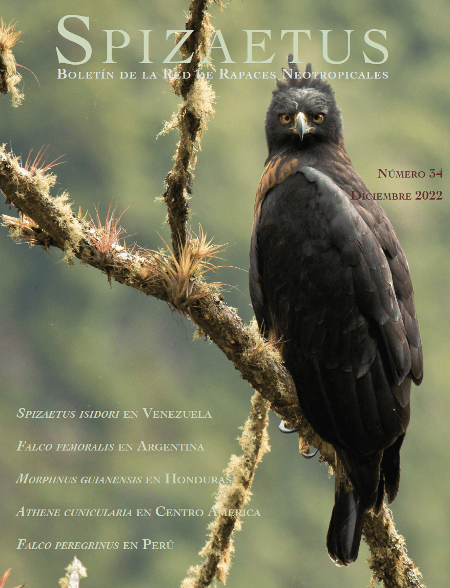 Presencia del Águila de Copete en Mérida, Venezuela