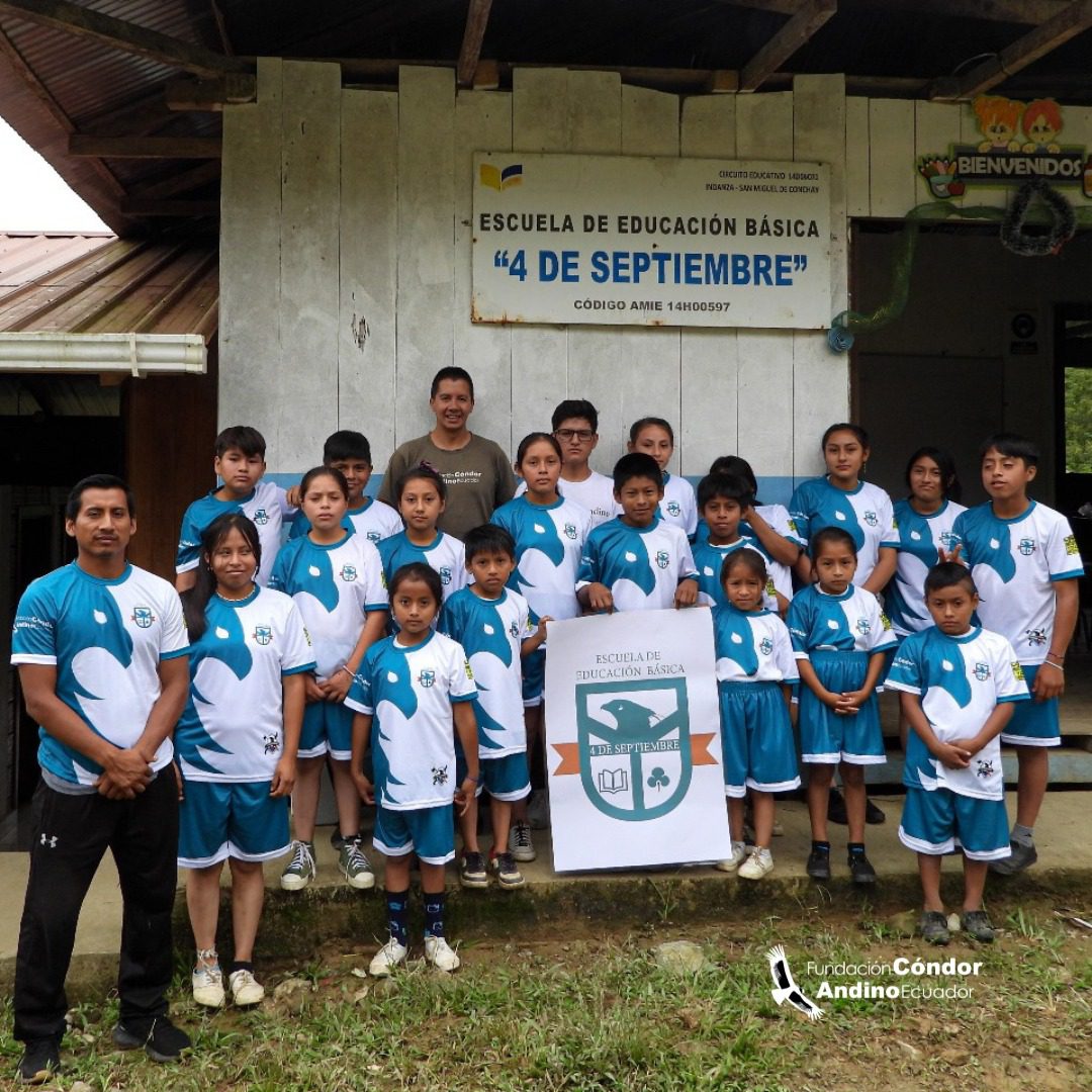 Águila andina en vuelo