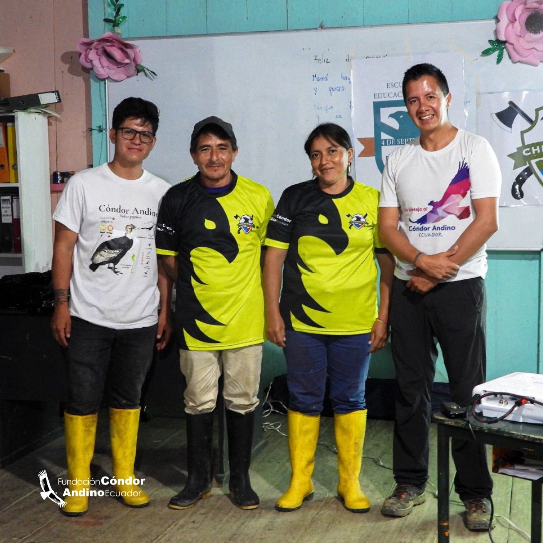 Águila andina en vuelo