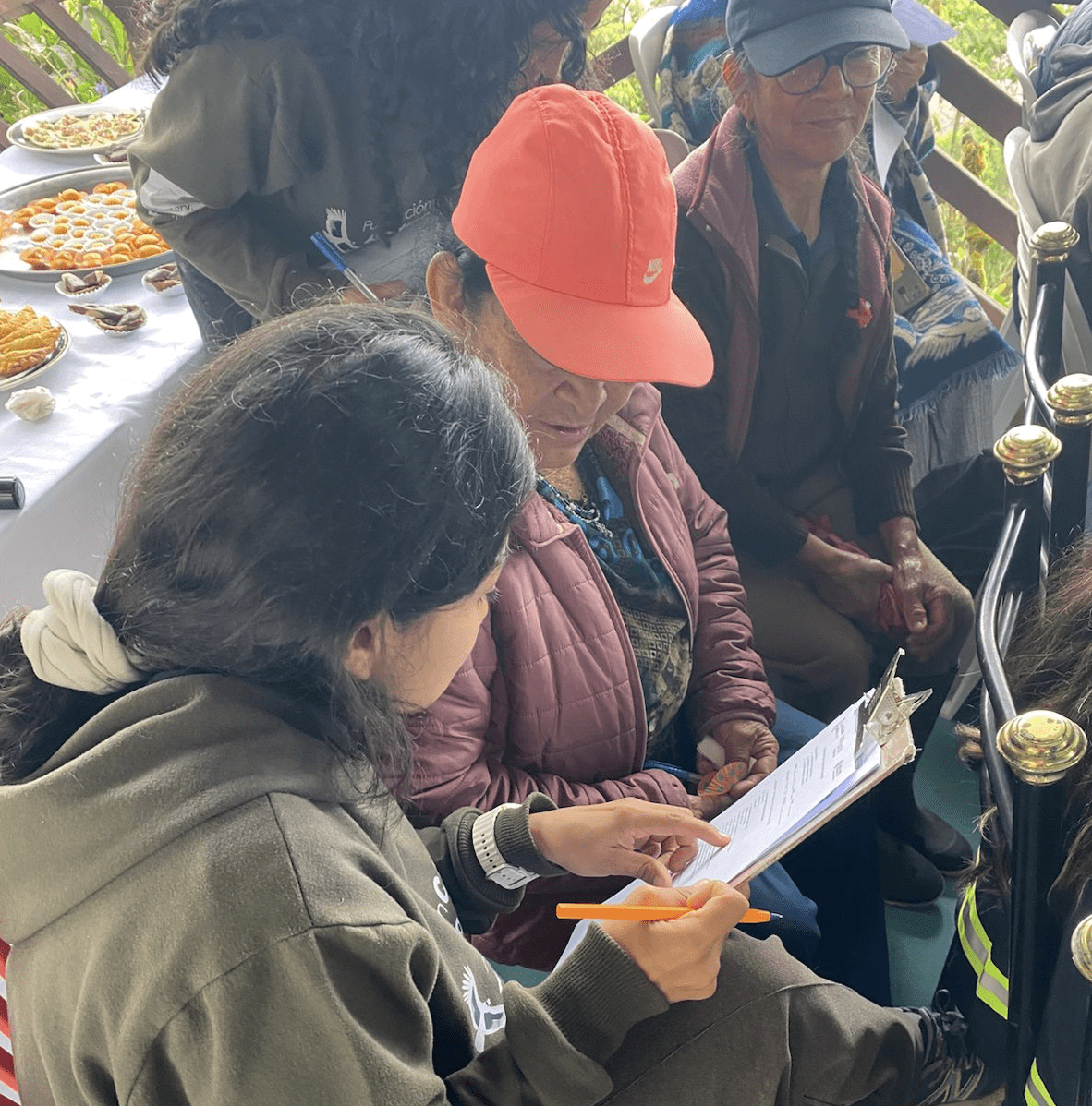 Águila andina en vuelo