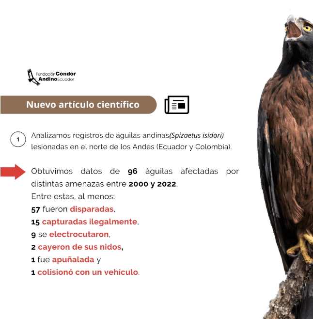 Guardianes de los Farallones de Cali