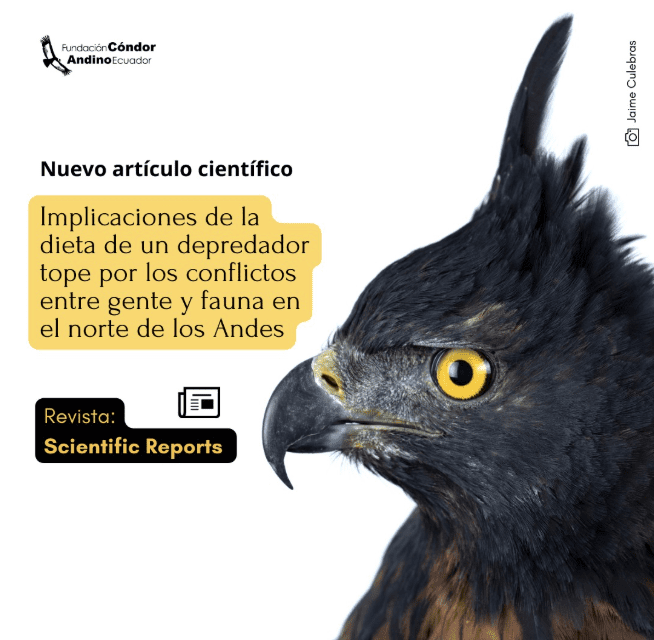 Implicaciones de la dieta de un depredador tope por los conflictos entre gente y fauna en el norte de los Andes