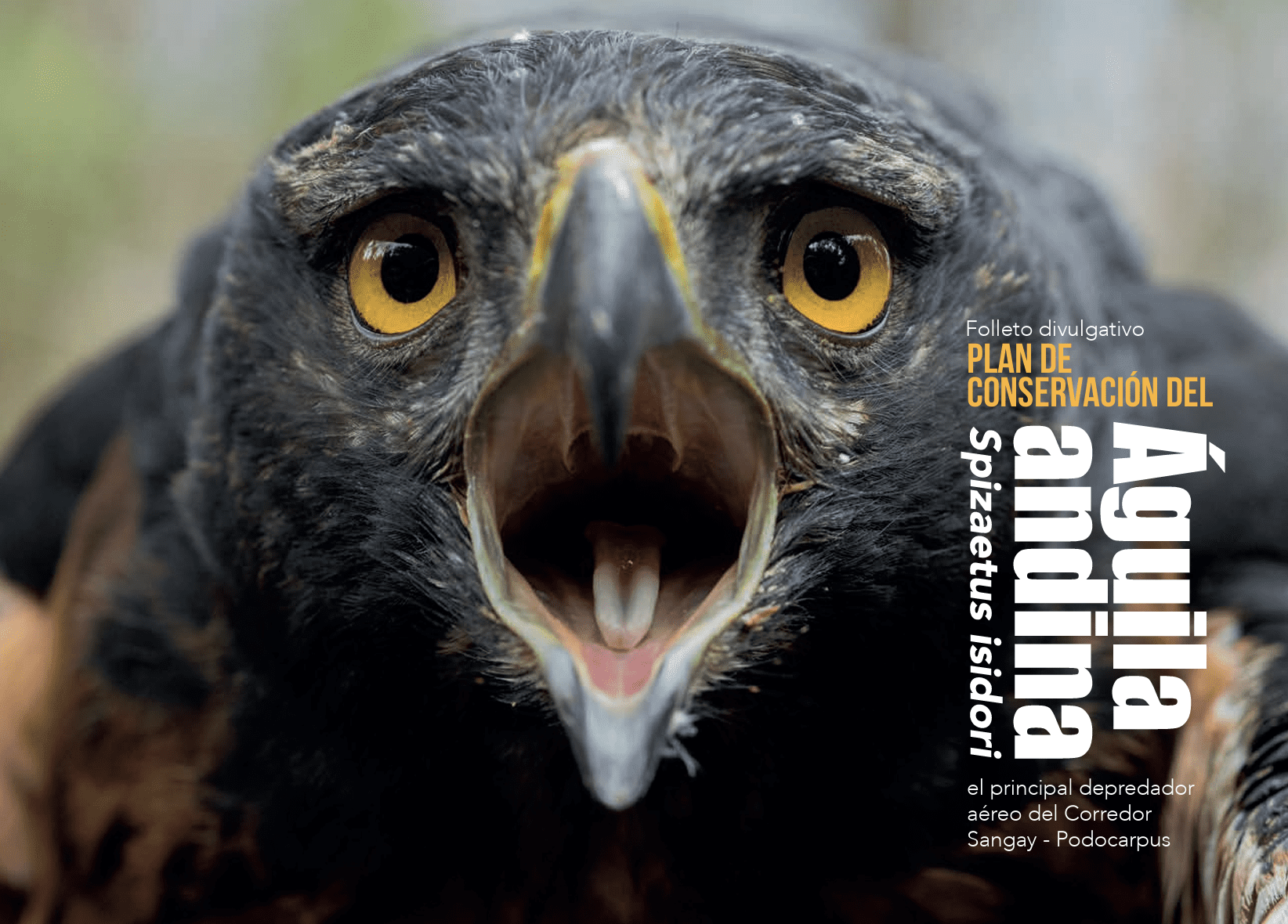 Plan de conservación del Águila Crestada